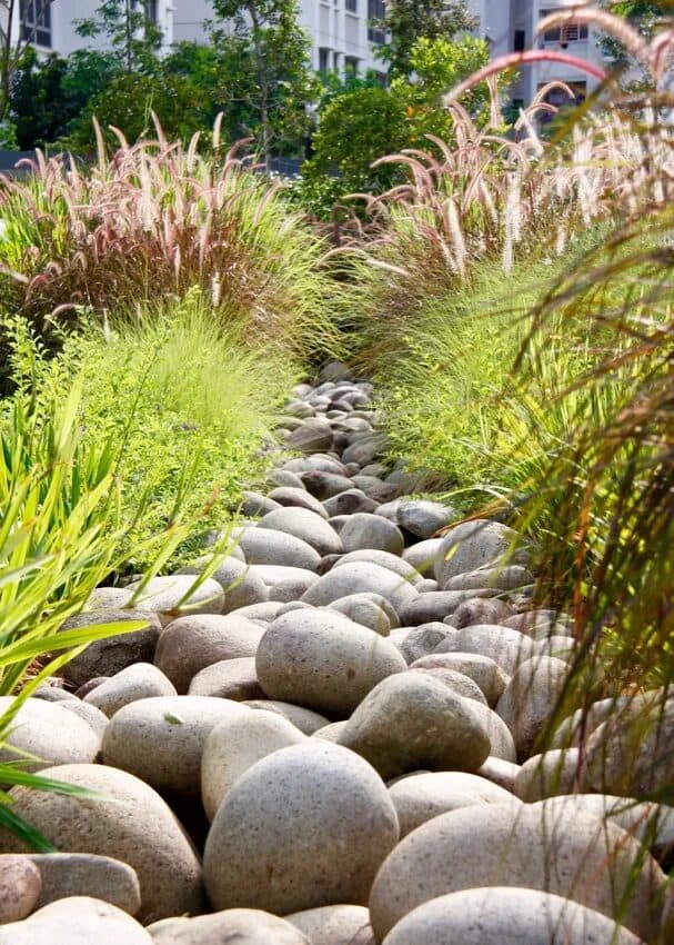 calgary bioswales