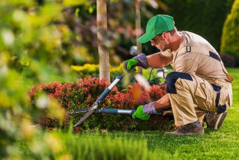 Can A Landscape Contractor Help With Water Conservation